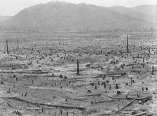 Priest River Valley, where many settlers grow hay between the stumps, Bonner County, Idaho, 1939. Creator: Dorothea Lange