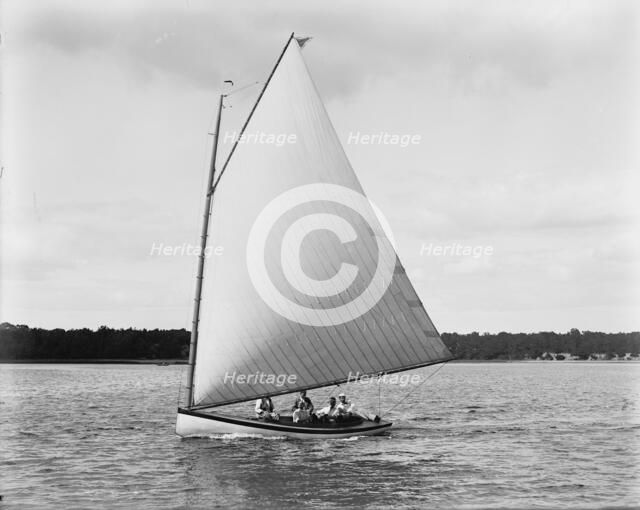 Primrose, between 1880 and 1899. Creator: Unknown.
