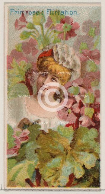 Primrose: Flirtation, from the series Floral Beauties and Language of Flowers (N75) for Du..., 1892. Creator: Donaldson Brothers.