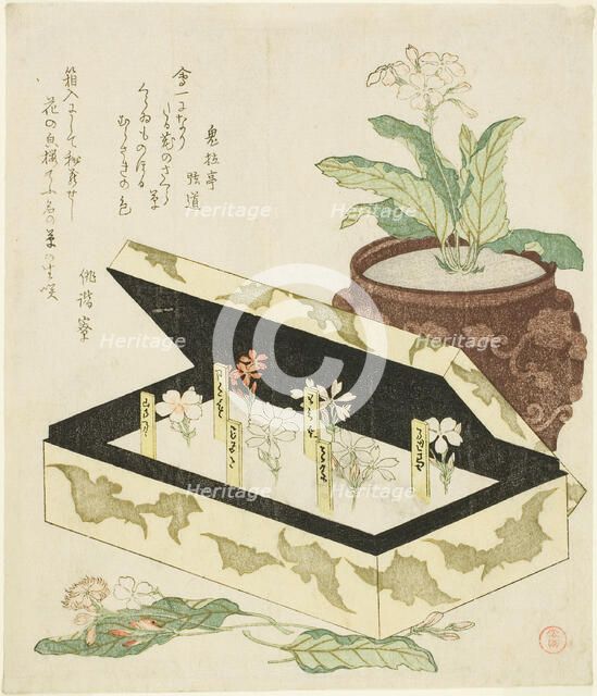Primroses, Japan, c. 1810s. Creator: Kubo Shunman.