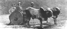 'Prince Albert Victor with the "Elephant King" in a Jungle Waggon in Mysore, India 1890. Creator: Unknown