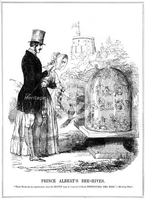 'Prince Albert's Bee-Hives', 1843. Artist: Unknown
