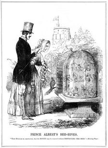 Prince Albert's Bee-Hives 1843