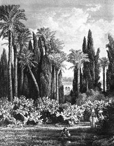 Princely Garden in Cairo, Egypt 1880