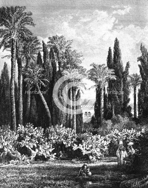 'Princely Garden in Cairo, Egypt', 1880. Artist: Unknown