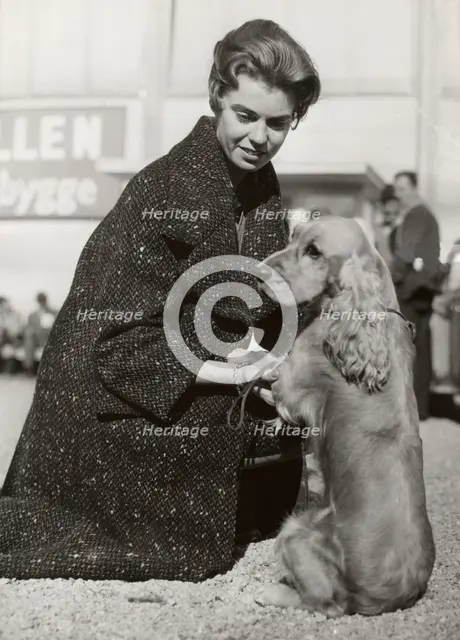 Princess Margaretha of Sweden with her Cocker Spaniel at a dog show, Stockholm, October 1960. Creator: Unknown.