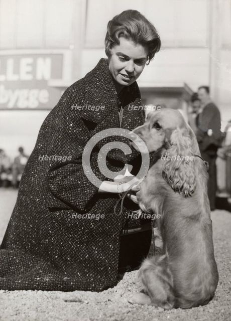 Princess Margaretha of Sweden with her Cocker Spaniel at a dog show, Stockholm, October 1960. Artist: Unknown