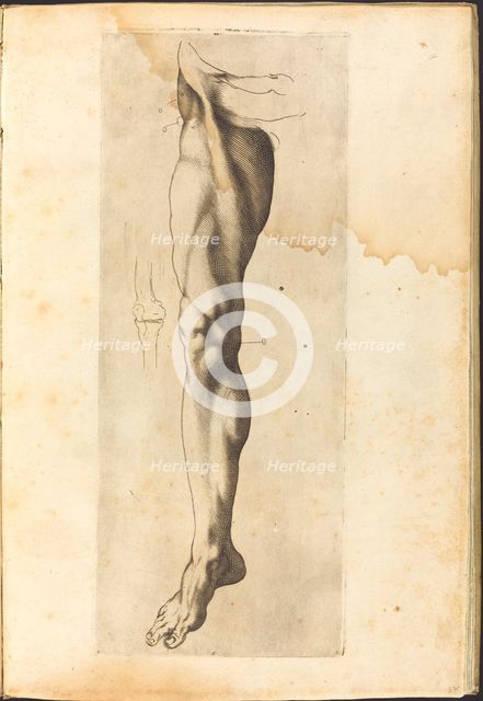 Print from Drawing Book, c. 1610/1620. Creator: Luca Ciamberlano.