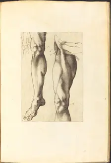 Print from Drawing Book, c. 1610/1620. Creator: Luca Ciamberlano