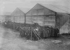 Prisoners in detention pen, Germany, between c1915 and c1916. Creator: Bain News Service
