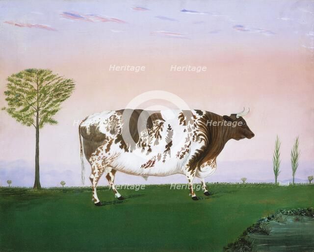 Prize Bull, 1876. Creator: H. Call.