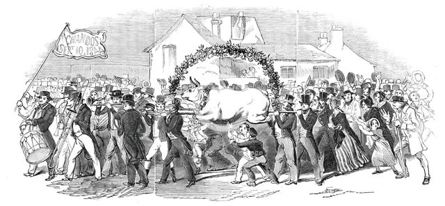 Procession of the ox, at Buckingham, 1844. Creator: Unknown.
