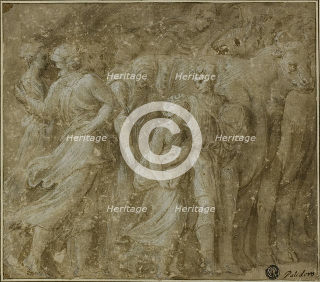 Procession of Figures and Oxen, n.d. Creator: Biagio Pupini.