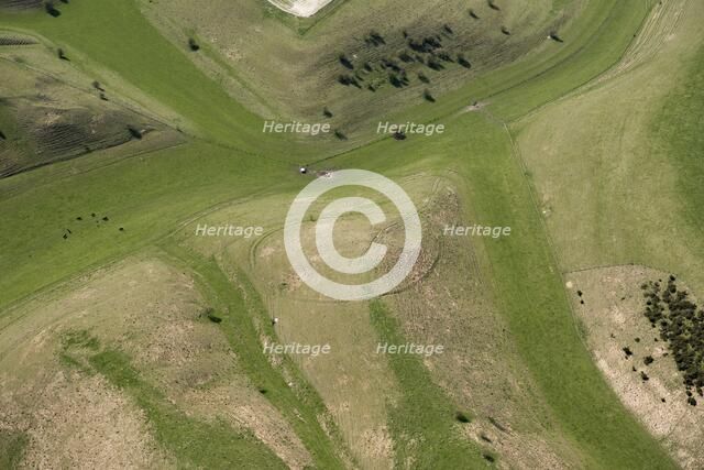 Probable tree enclosure ring earthwork on Calstone Down, Wiltshire, 2018. Creator: Historic England Staff Photographer.