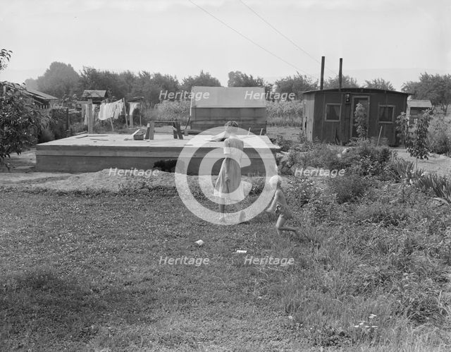 Progressive housing on half acre in Yakima shacktown, Yakima, Washington, 1939. Creator: Dorothea Lange.