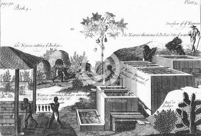 Producing indigo dye with slave labour: West Indies or Central America, 1725. Creator: Anon.