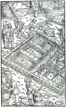 Producing salt by evaporating sea water in salt pans, 1556. Creator: Unknown
