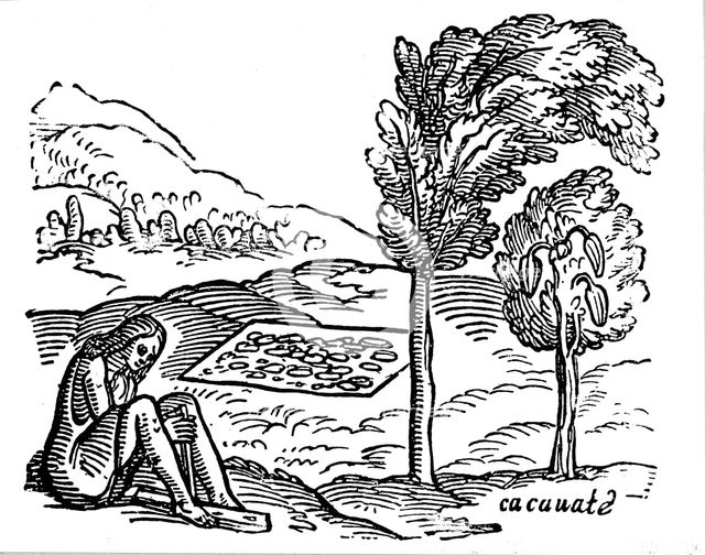 Production of cocoa, 16th century. Artist: Unknown