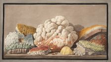 Productions of the Solfaterra, 1776