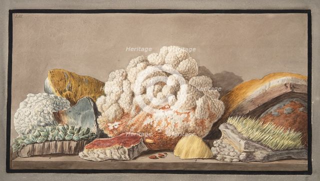 Productions of the Solfaterra, 1776.