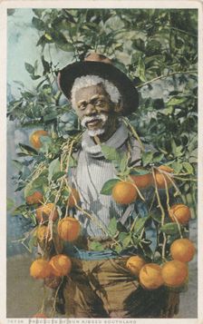 Products of Sun Kissed Southland, ca.1898 - 1931. Creator: Detroit Publishing Company