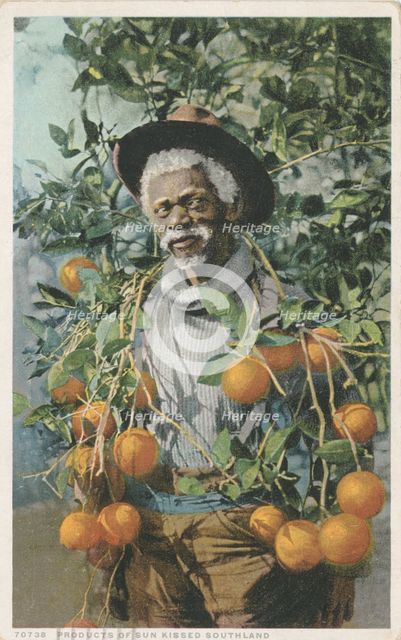 Products of Sun Kissed Southland, ca.1898 - 1931. Creator: Detroit Publishing Company.