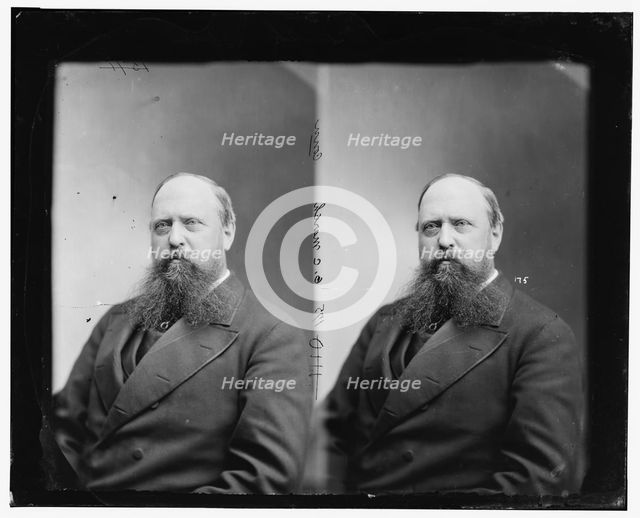 Professor O.C. Marsh of Connecticut, between 1865 and 1880. Creator: Unknown.