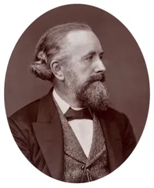 Professor Edward Frankland, 1880. Creator: Lock & Whitfield