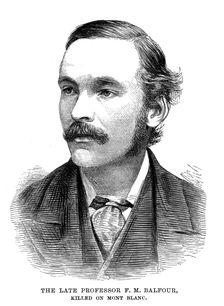 Professor Francis Maitland Balfour (1851-1882), Scottish embryologist, 1882