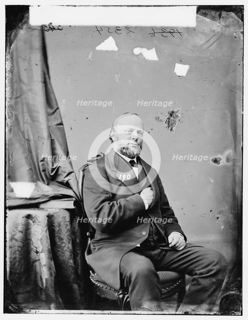 Professor Julius Erasmus Hilgard, between 1860 and 1875. Creator: Unknown.