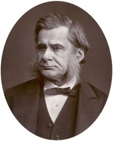 Professor Thomas Henry Huxley, 1880. Creator: Lock & Whitfield
