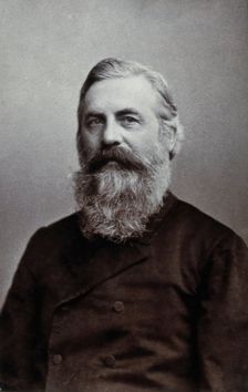 Professor Wiolicendow (?), 1892. Creator: Unknown