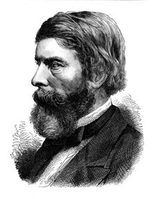 Professor Williamson, president of the British Association of Science, 1873. Creator: Unknown