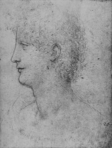 Profile to the Left of a Curly-Headed Youth c1480 (1945). Artist: Leonardo da Vinci