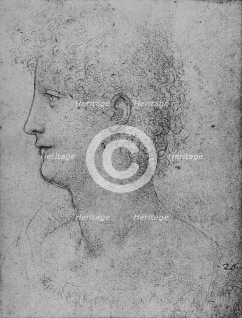'Profile to the Left of a Curly-Headed Youth', c1480 (1945). Artist: Leonardo da Vinci.