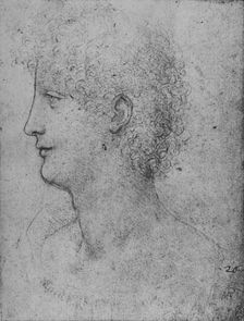 Profile to the Left of a Curly-Headed Youth c1480 (1945). Artist: Leonardo da Vinci