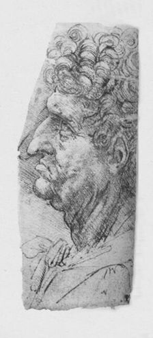 Profile to the Left of an Elderly Man with Curly Hair c1480 (1945). Artist: Leonardo da Vinci