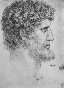 Profile to the Right of an Bearded Man c1480 (1945). Artist: Leonardo da Vinci