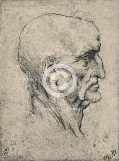 'Profile to the Right of an Elderly Bald Man, c1480 (1945). Artist: Leonardo da Vinci.