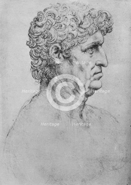 'Profile to the Right of an Elderly Man', c1480 (1945). Artist: Leonardo da Vinci.