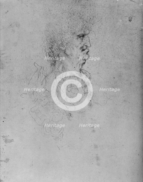 'Profile to the Right of an Old Man', c1480 (1945). Artist: Leonardo da Vinci.