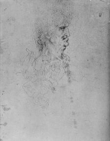 Profile to the Right of an Old Man c1480 (1945). Artist: Leonardo da Vinci