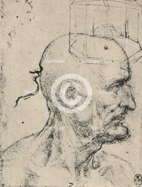 'Profile to Right of a Bald Man, c1480 (1945). Artist: Leonardo da Vinci.