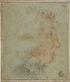 Profile of Young Man to Right, n.d. Creator: Unknown