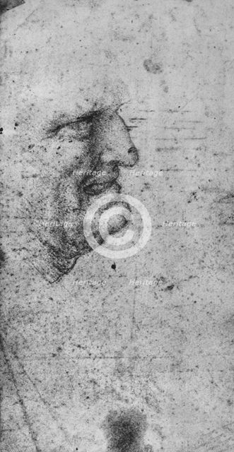 'Profile of a Man with Clenched Teeth', c1480 (1945). Artist: Leonardo da Vinci.
