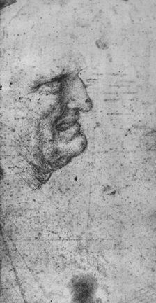 Profile of a Man with Clenched Teeth c1480 (1945). Artist: Leonardo da Vinci