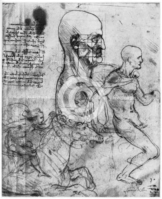 Profile of a man's head and studies of two riders, c1490 and c1504 (1954).Artist: Leonardo da Vinci