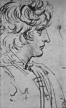 Profile of a Youth to the Right c1480 (1945). Artist: Leonardo da Vinci