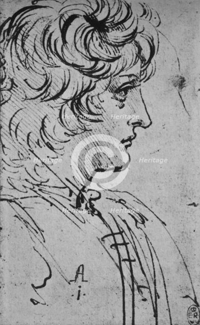 'Profile of a Youth to the Right', c1480 (1945). Artist: Leonardo da Vinci.