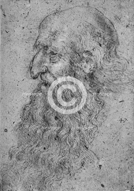 'Profile of an Old, Bearded Man to the Left', c1480 (1945). Artist: Leonardo da Vinci.
